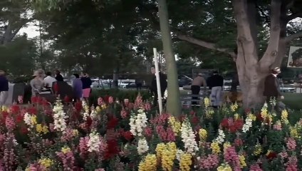 Лейтенант #Коломбо. Рецепт убийства. #Сериал. Сезон 1, серия 1. #Детектив