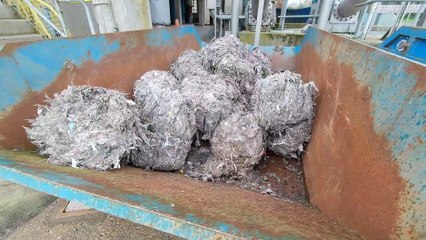 Water recycling at Budd's Farm