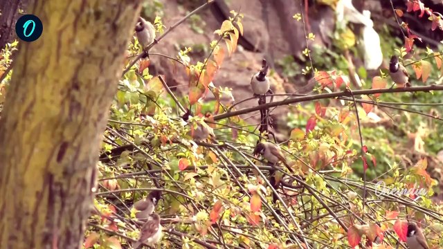 Delhi NCR Weather Update: दिल्ली-NCR में होगी बारिश, IMD का बड़ा Alert | Cyclone | वनइंडिया हिंदी