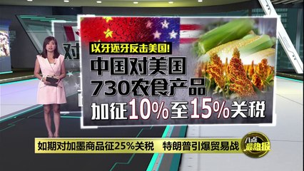 特朗普正式对加墨商品加征25%关税，引爆贸易战🔥