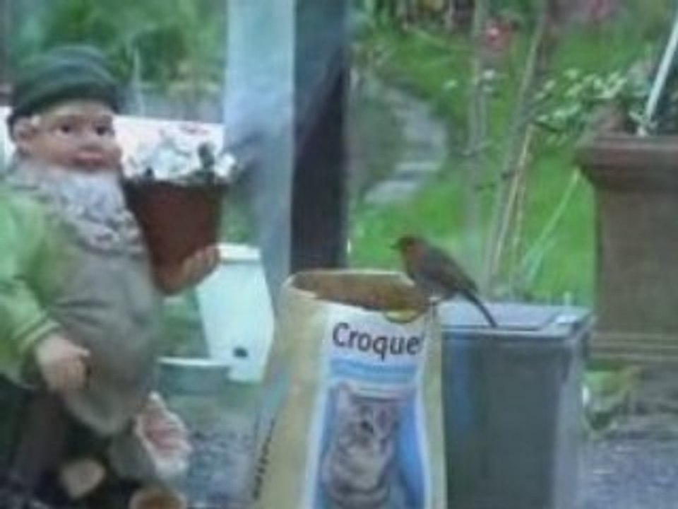 un voleur pas ordinaire et courageux