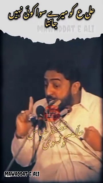 Allam ghazanafar abbas p3