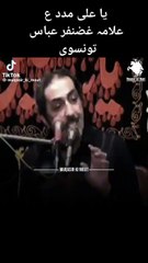 Allma ghazanafar abbas p4