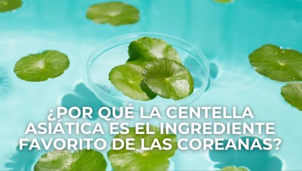 ¿Por qué la centella asiática es el ingrediente favorito de las coreanas?