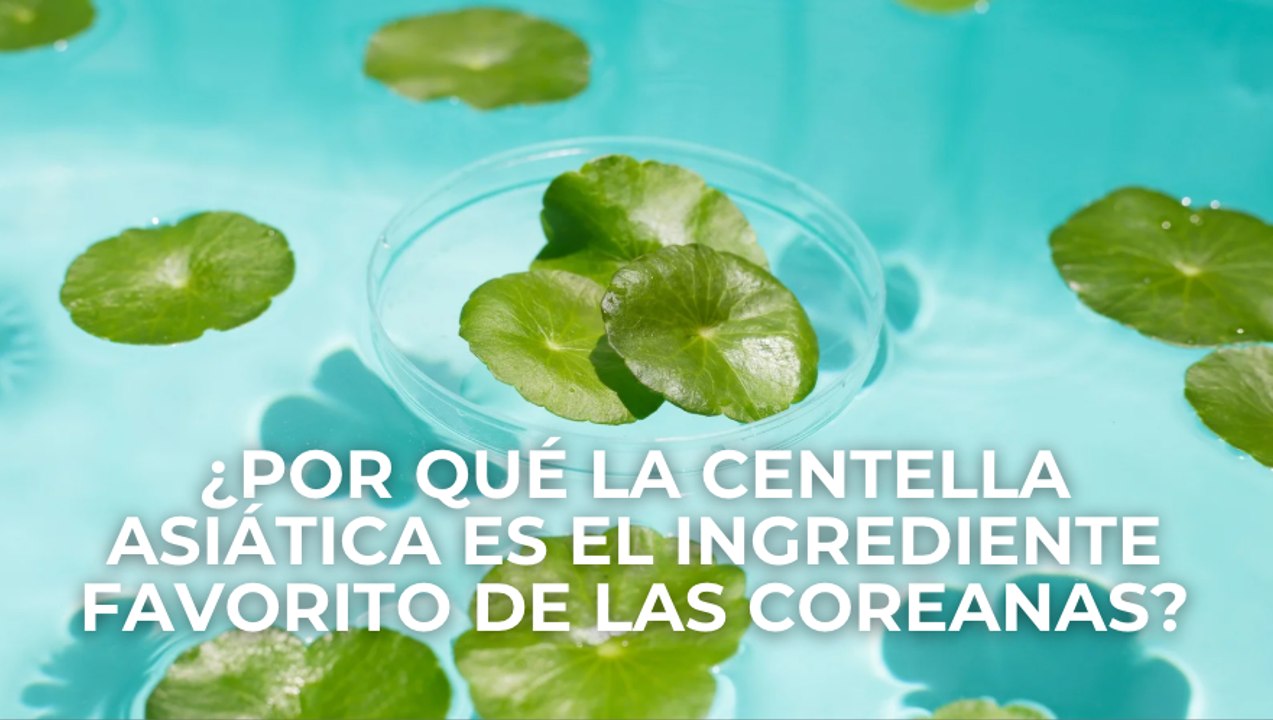 ¿Por qué la centella asiática es el ingrediente favorito de las coreanas?