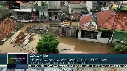 Environmental crisis: Australia, Colombia and Japan