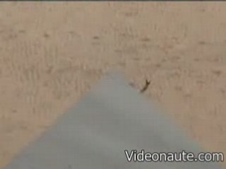 Skier-sur-le-sable