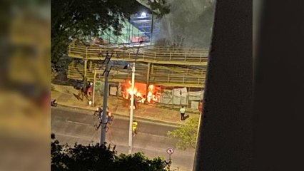 Indignante: volvieron a quemar el refugio de gatos que queda debajo de un puente en Cartagena