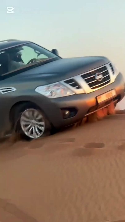 Desert safari tour in Dubai. (3)