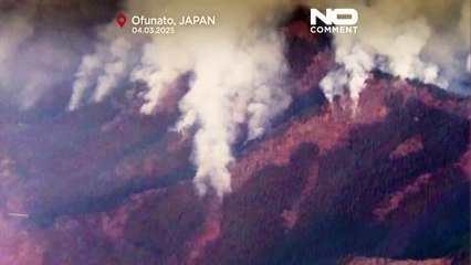 Waldbrände in Japan: 2600 Hektar verbrannt