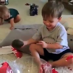 it’s an avocado.. thanks.. vine