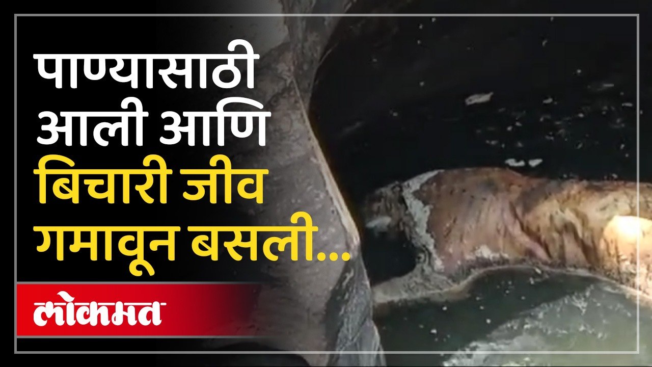 तहान लागली म्हणून पाण्याच्या शोधात गेली परंतु विहिरीत झाला तिचा दुर्दैवी अंत...
