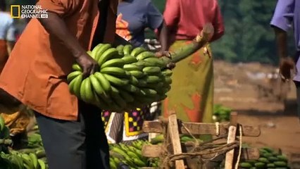 Lugares Patrimonio de la Humanidad: Kilimanjaro