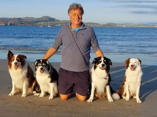 Paws for change: New top dogs set to lead the pack for Northern Ireland at Crufts as manager steps down after 34 years