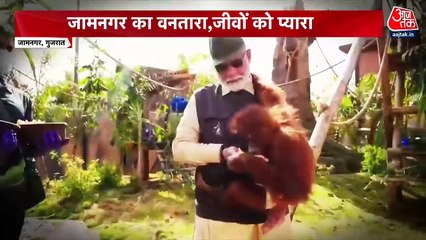 वनतारा में प्रधानमंत्री मोदी का 7 घंटे का दौरा, शेर के बच्चों को पिलाया दूध, देखें विशेष