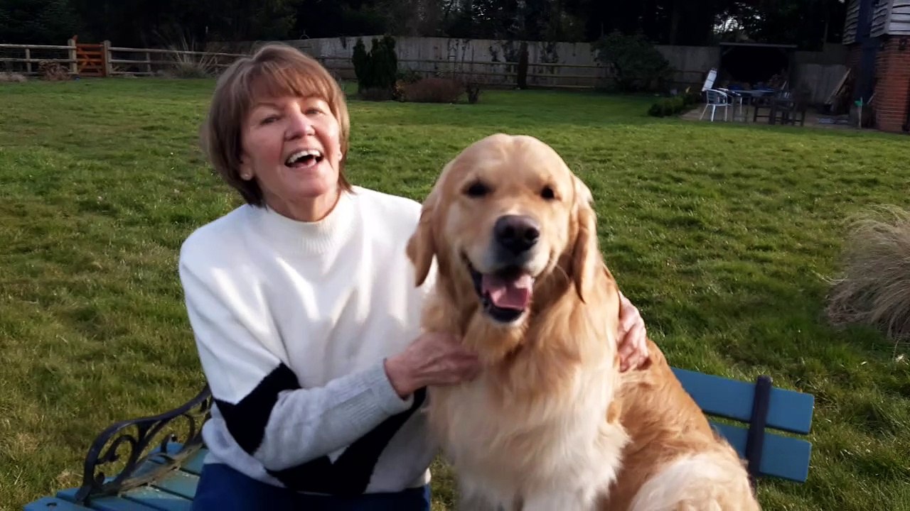 Crufts,  Bertie  from Wolverhampton