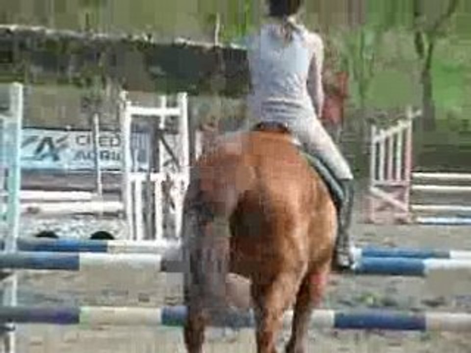 Le tour de Nono au concours du club