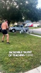 This Florida man really taught birds a trick 😂