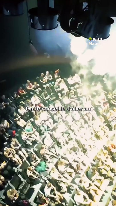 Un week-end dans la Vienne, ça vous tente ? 🌿✨ Voici 3 activités à ne pas manquer !