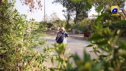 Umme Ayesha Season 2 Episode 03 - [Eng Sub] - Kanwal Khan - Farhan Ahmed Malhi - 4th March 2025