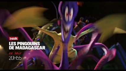 Les pingouins de Madagascar