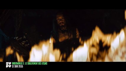 Underworld 3 : le soulèvement des Lycans