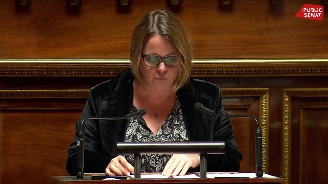 « Porter le budget de la Défense à 3,5 % voire 5 % du PIB serait une bombe sociale »