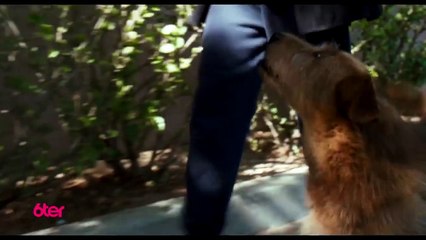 Docteur Dolittle