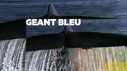 La planète des géants