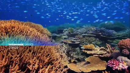 Planète bleue 2018
