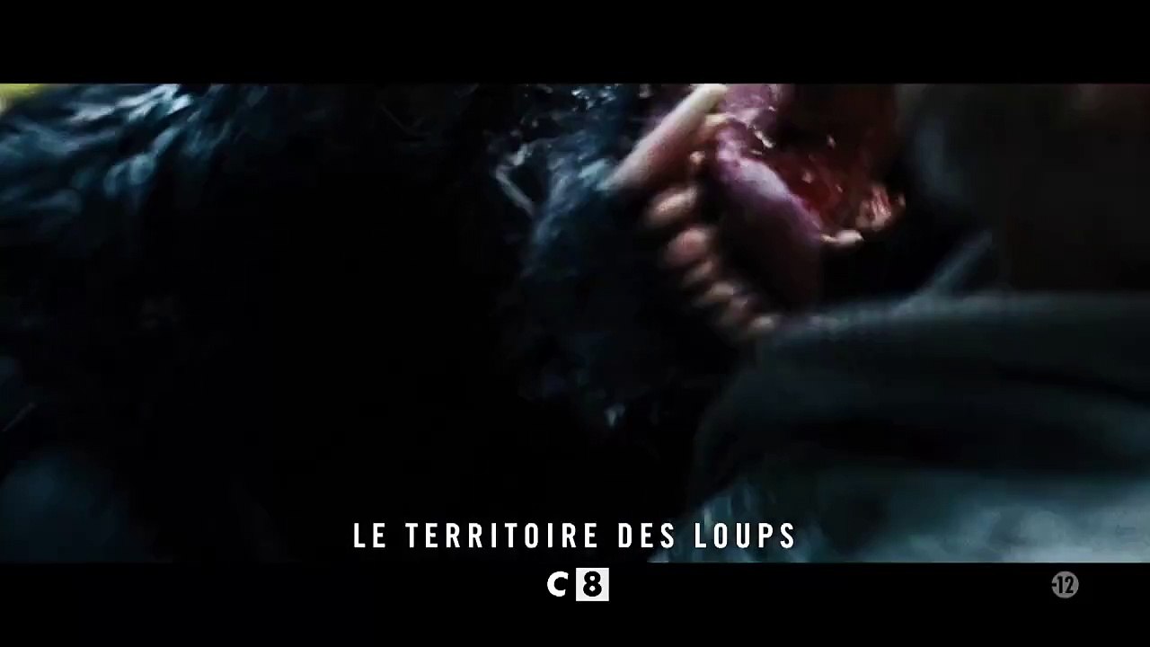 Le territoire des loups