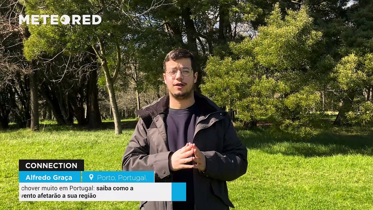 Até domingo vai chover muito em Portugal: saiba como a precipitação e o vento afetarão a sua região