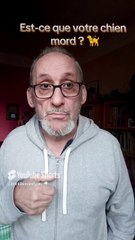 Est-ce que votre chien mord ?