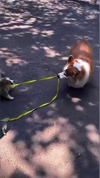 A good mother is when her child loses her way, she knows how to tie her up and drag her back