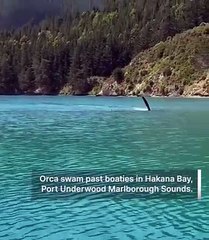 so magical and mesmerizing