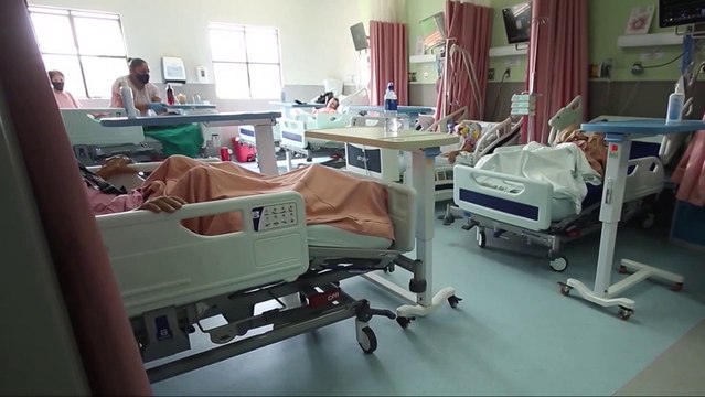 tn7-aumento-de-hospitalizaciones-por-casos-de-dengue-040325