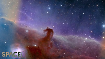 James Webb Space Telescope Delivers Amazing Horsehead Nebula Imagery