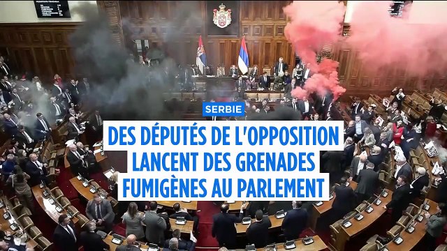 Grenades fumigènes et vuvuzelas : scène de chaos au Parlement serbe