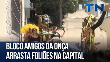 Bloco Amigos da Onça arrasta foliões na Capital
