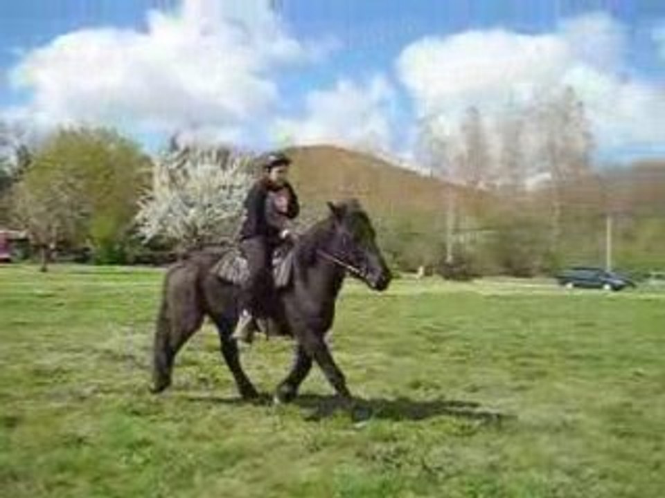 Néro&Max, barres au sol