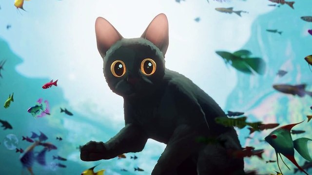 OSCARS 2025: The Stories Behind 'Flow' and 'In the Shadow of the Cypress' | Award-Winning Animations #IntheShadowoftheCypress #flow