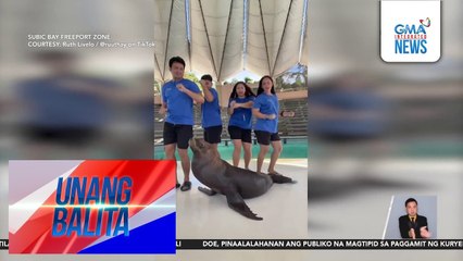 Sea lion na kumasa sa "giniling" trend; 16.5M na ang views | Unang Balita