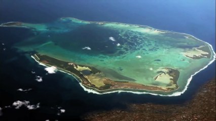 El ataque del tiburón de tres cabezas | movie | 2015 | Official Trailer