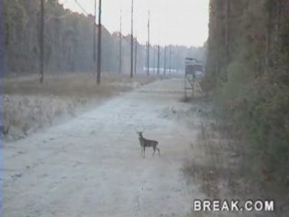 Régis à la chasse 1