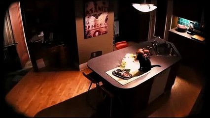 Acosados | movie | 2011 | Official Trailer