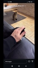 i veri propietari della palestra