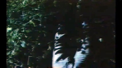 Terror sin límite (Absurd) | movie | 1981 | Official Trailer