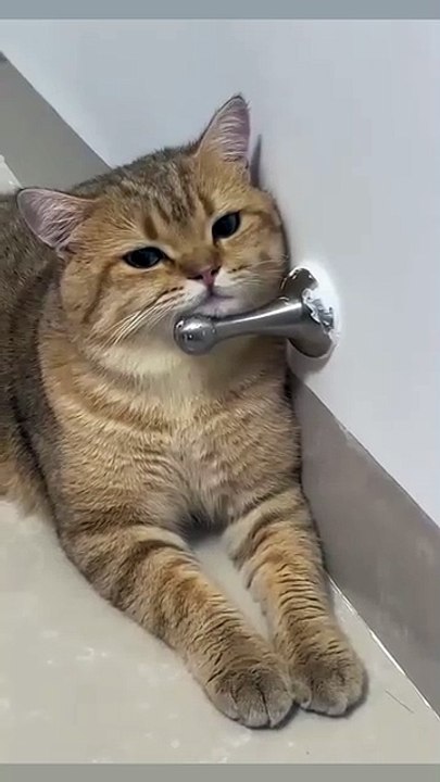 😐😐
