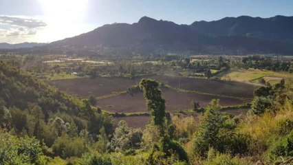 Rifirrafe entre la Susana Muhamad y el alcalde de Bogotá por polémica resolución ambiental