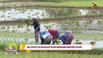 NIA, patuloy sa pag-alalay sa mga magsasaka ngayong tag-init